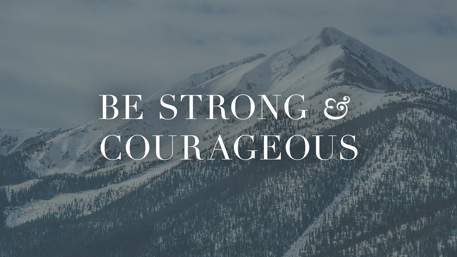 c is for courageous another word for brave count c is for courageous another word for brave count